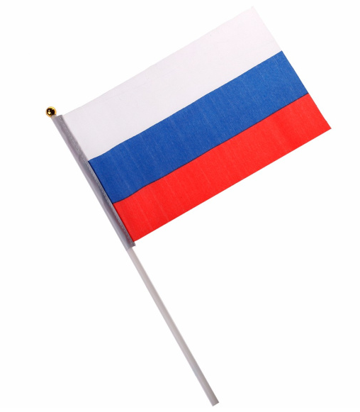 Флаг 14 х 21 см, на палке, (1;уп), AR-10149A;В