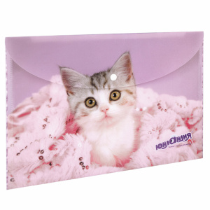 Папка конверт с кнопкой ЮНЛАНДИЯ 