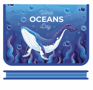 Папка для тетрадей А4 , молния вокруг , КИТ, ПМ-А4-04