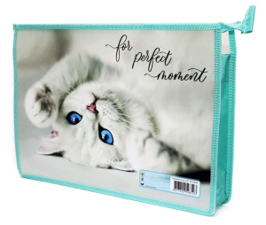 Папка для тетрадей А4 , ГОЛУБОГЛАЗАЯ КОШЕЧКА, ПМ-А4-29