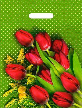 Пакет ПЭ с вырубной ручкой 30х40см (х100) (Мимоза), ВУР44166