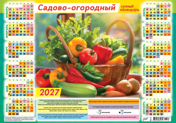 97076-1